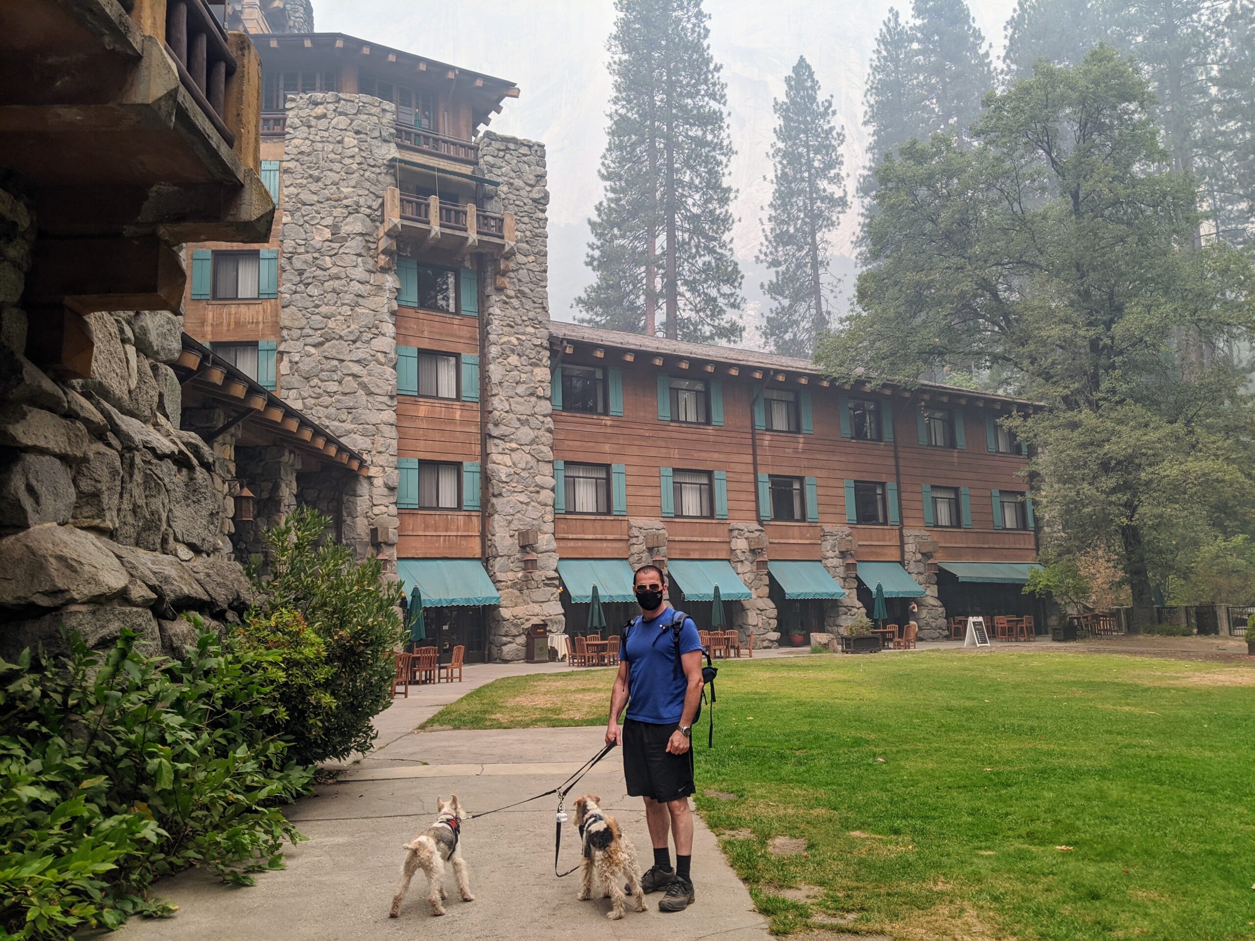 dog friendly hikes in Yosemite National Park