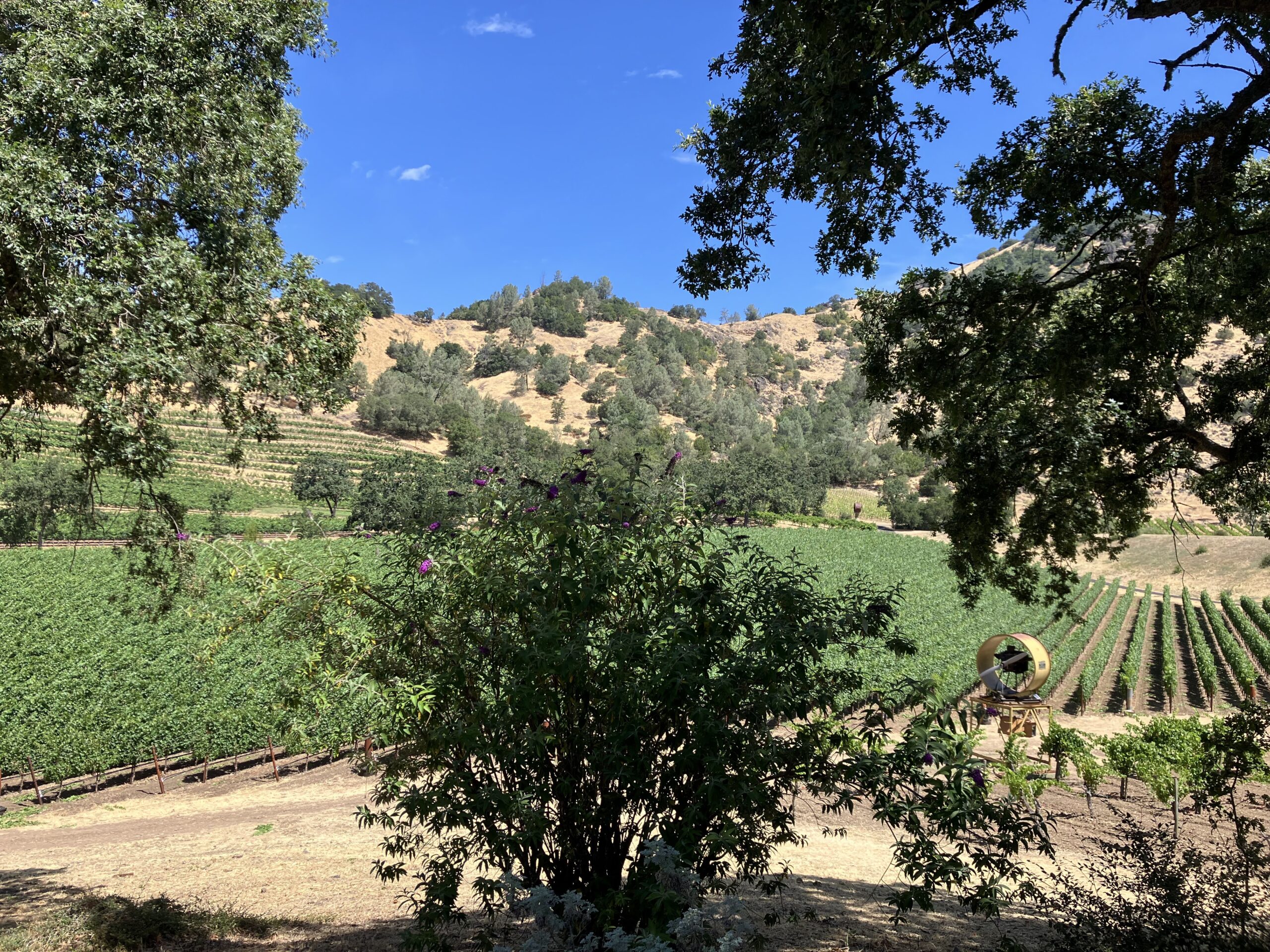 Where to Eat Dinner in Calistoga, California