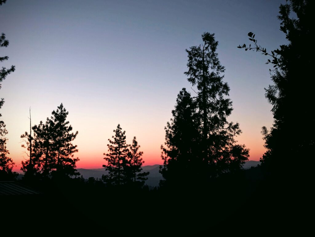Sunset through the pine trees in Groveland, California.