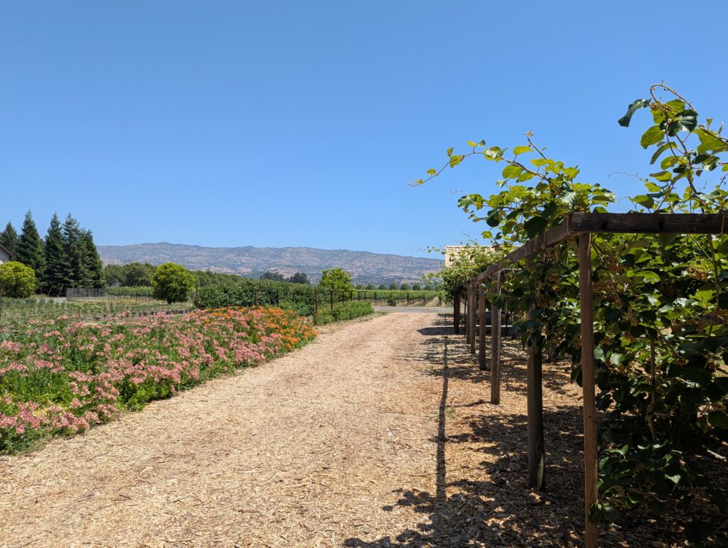 Vineyards and gardens at Trefethen Family Vineyards in Napa Valley